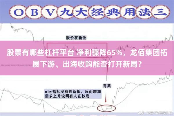 股票有哪些杠杆平台 净利骤降65%,龙佰集团拓展下游、出海收购能否打开新局?