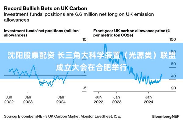 沈阳股票配资 长三角大科学装置(光源类)联盟成立大会在合肥举行