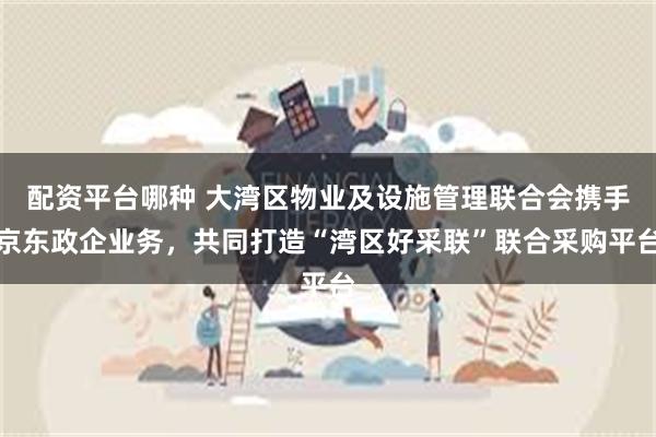 配资平台哪种 大湾区物业及设施管理联合会携手京东政企业务,共同打造“湾区好采联”联合采购平台